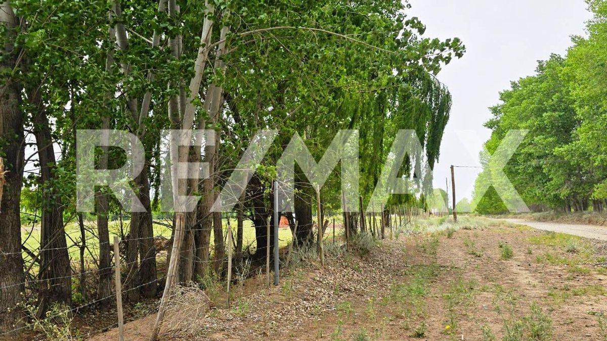 VENTA LOTE DE 2.500 M2 EN SENILLOSA