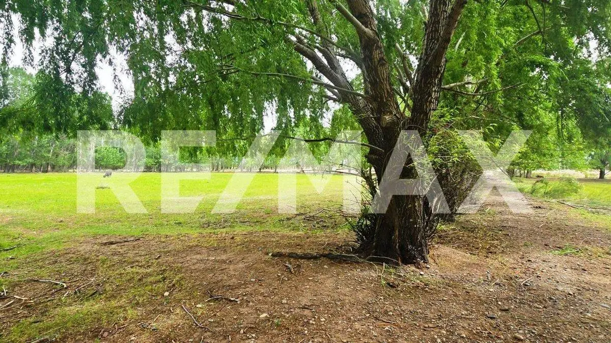 VENTA LOTE DE 2.500 M2 EN SENILLOSA 3