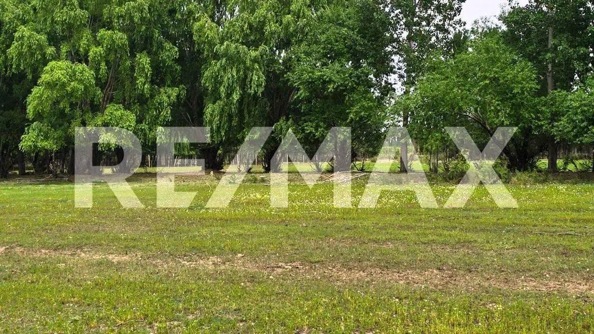 VENTA LOTE DE 2.500 M2 EN SENILLOSA 2