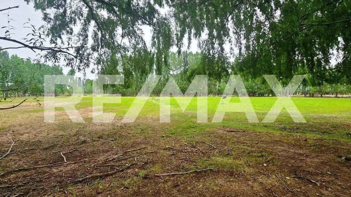 VENTA LOTE DE 2.500 M2 EN SENILLOSA 3