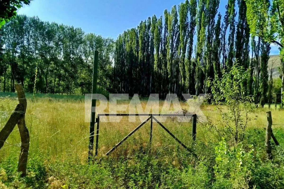 TERRENO EN VENTA | CHACRAS DEL YOYO – CHOS MALAL, 5
