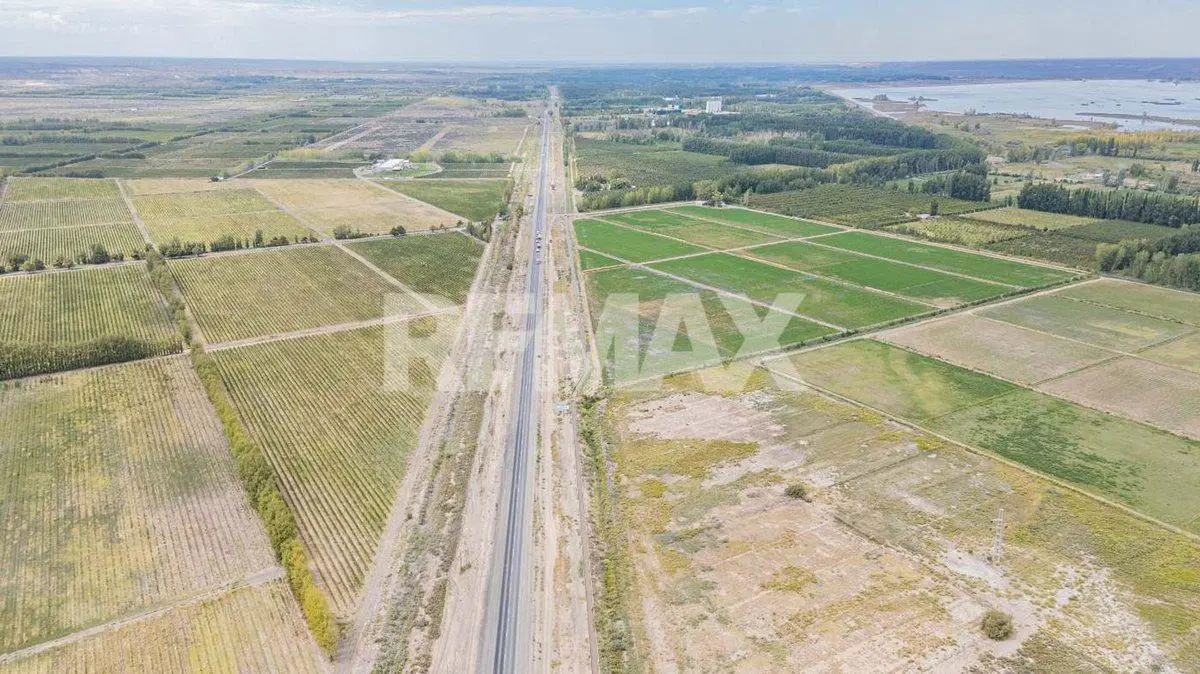 EN VENTA CHACRA  FRENTE DE RUTA 7 S.P DEL CHAÑAR 8