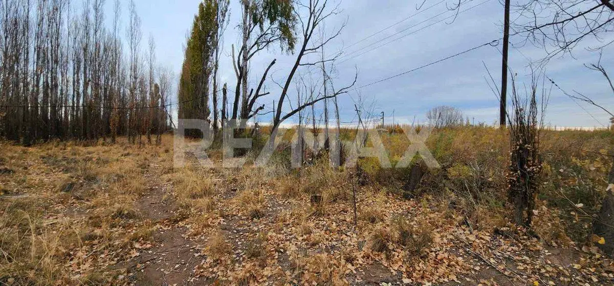 CHACRA EN SENILLOSA CON FRENTE DE RUTA 22 5