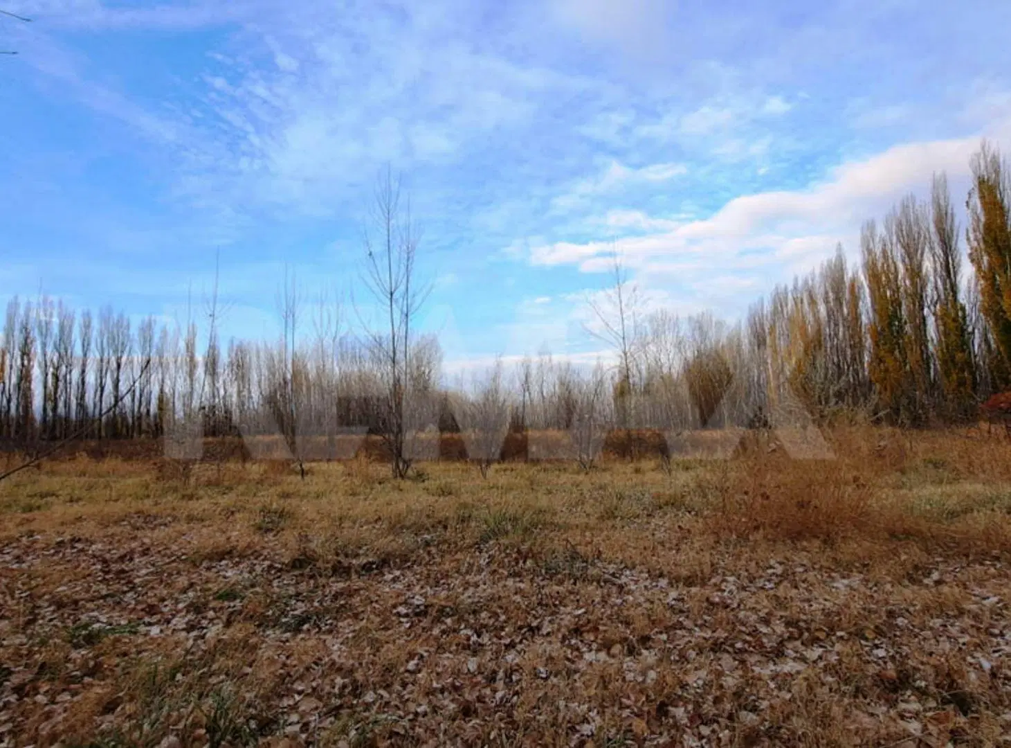 VENTA CHACRA 6 HECTAREAS SAN PATRICIO DEL CHAÑAR 5