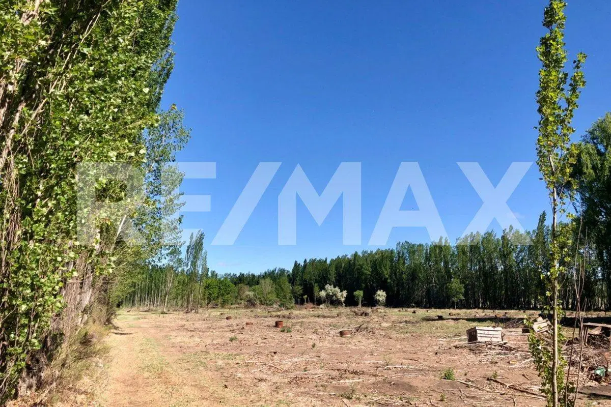 VENTA! Loteo Cardales, Cipolletti 4