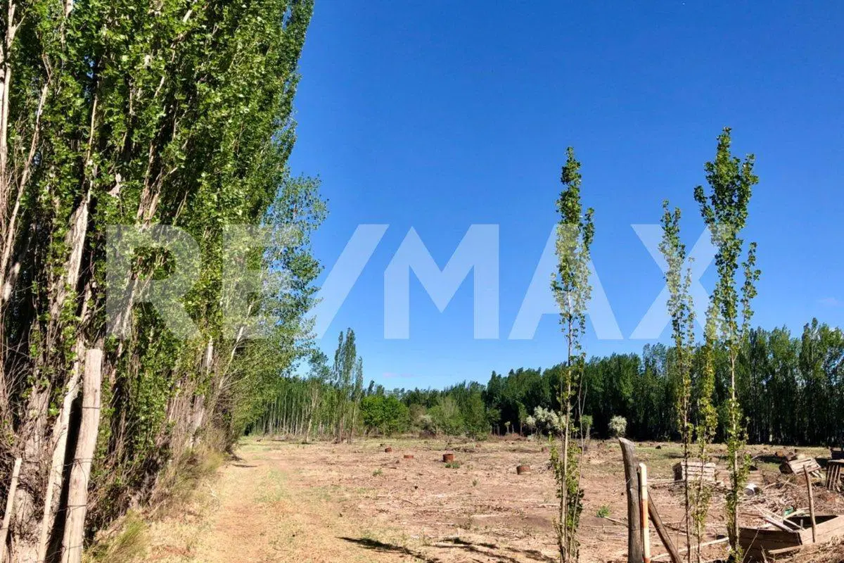 VENTA! Loteo Cardales, Cipolletti 5