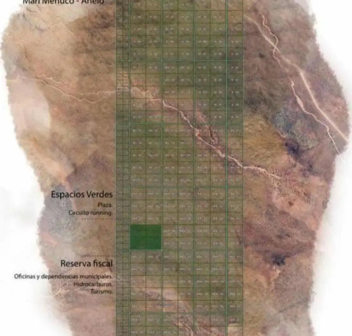 EN VENTA LOTE 9992 M² VACA MUERTA - SENILLOSA 3