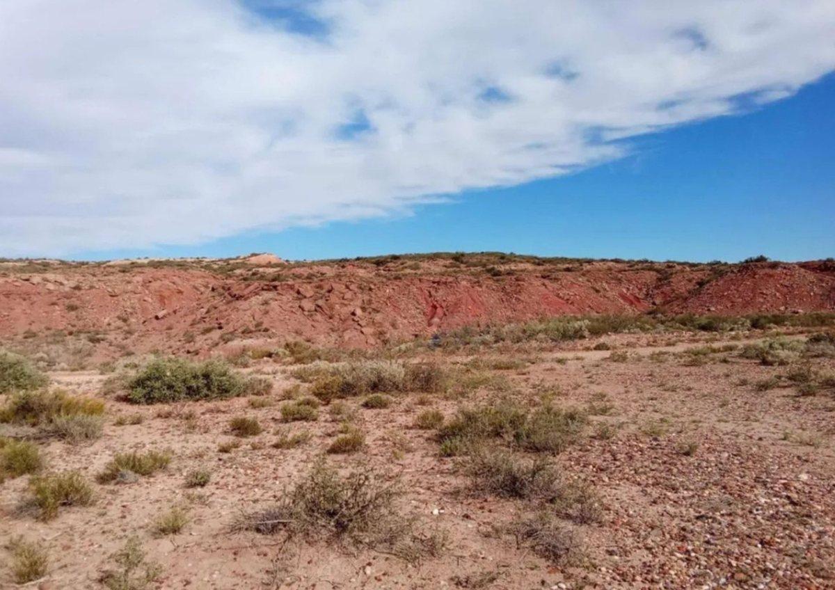 EN VENTA LOTE 9992 M² VACA MUERTA - SENILLOSA