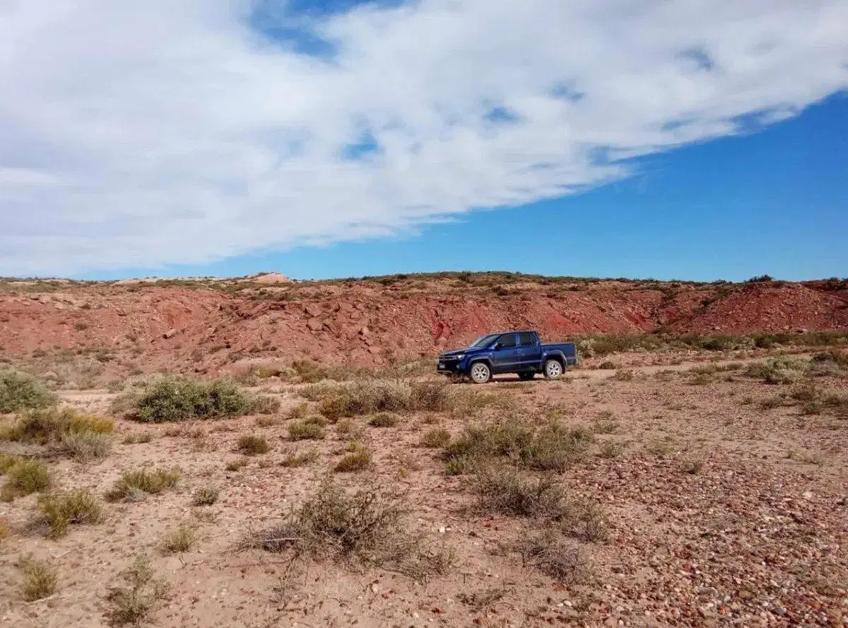 EN VENTA LOTE 9992 M² VACA MUERTA - SENILLOSA 5
