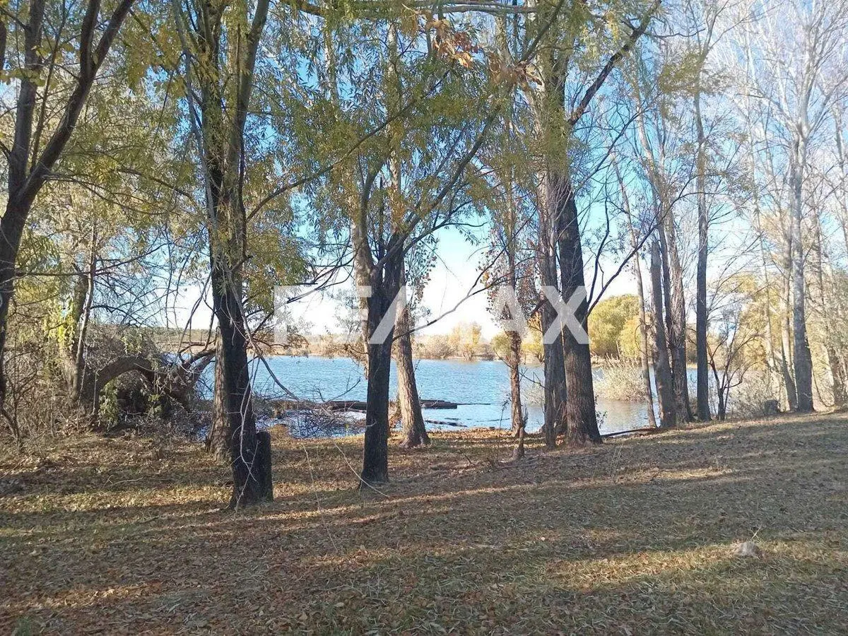 Alquila Chacra 63 ha costa Rio Limay Cipolletti RN 4