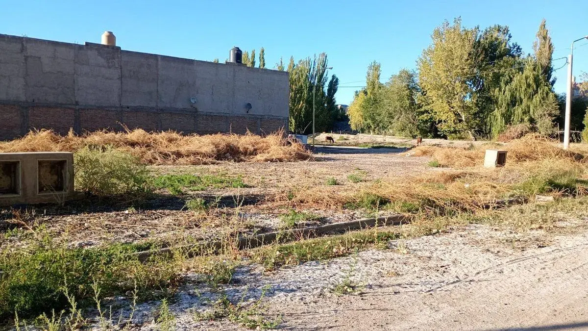 VENTA TERRENO 357,18 M2 B° DON PATER CENTENARIO 3