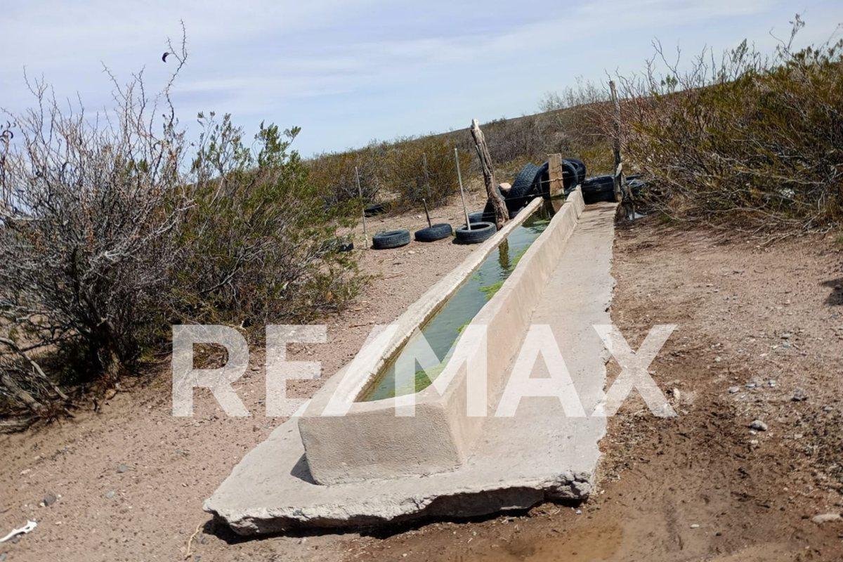 VENTA DE CAMPO 11.000 HA. EN AGUADA GUZMAN
