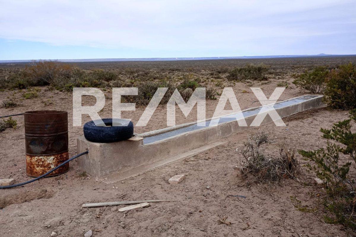 VENTA DE CAMPO 11.000 HA. EN AGUADA GUZMAN