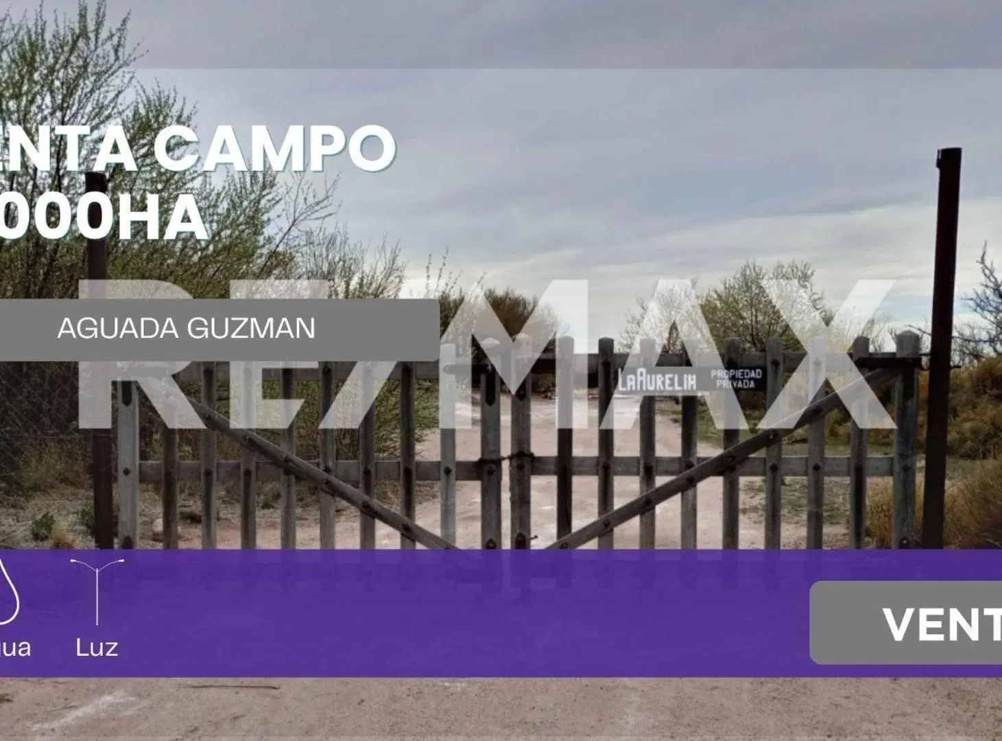 VENTA DE CAMPO 11.000 HA. EN AGUADA GUZMAN 5
