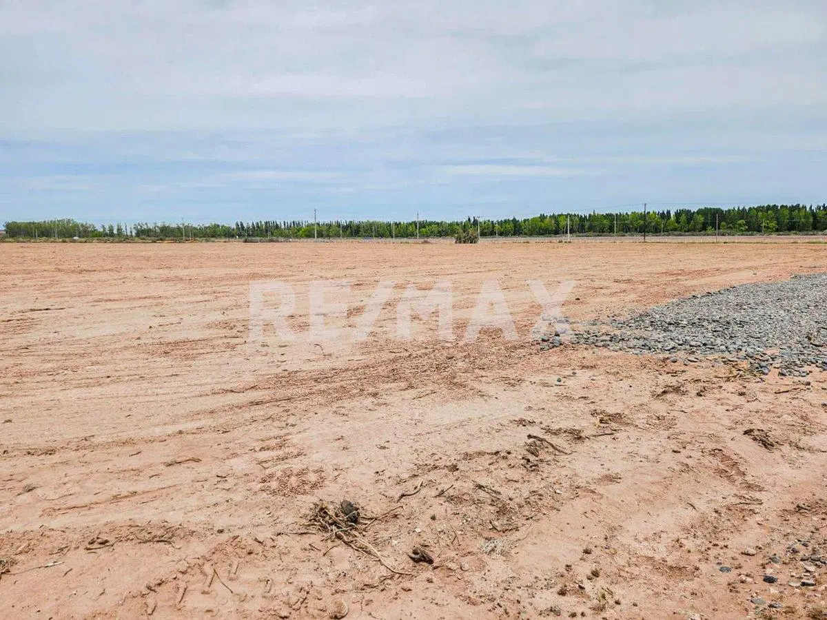 Alquiler Lote de 5000 m2 4