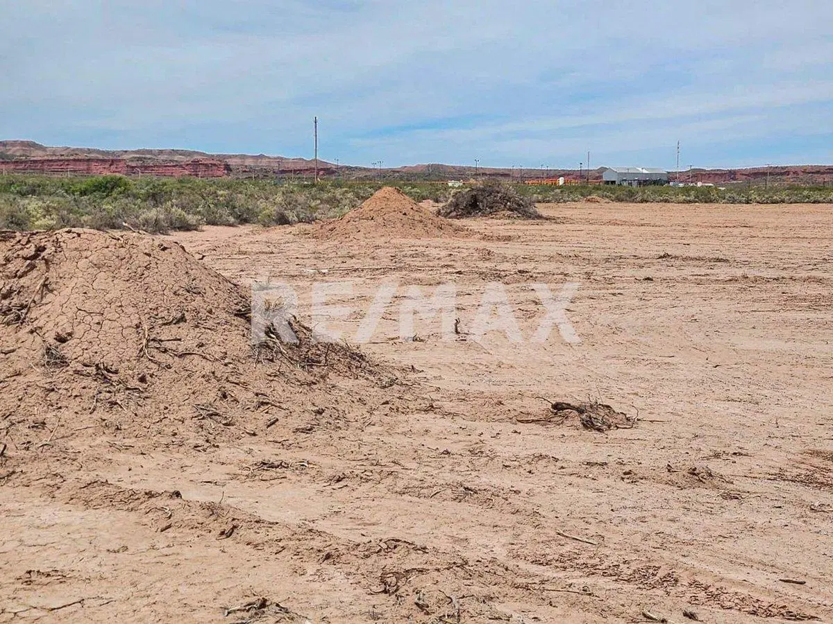Alquiler Lote de 5000 m2 2