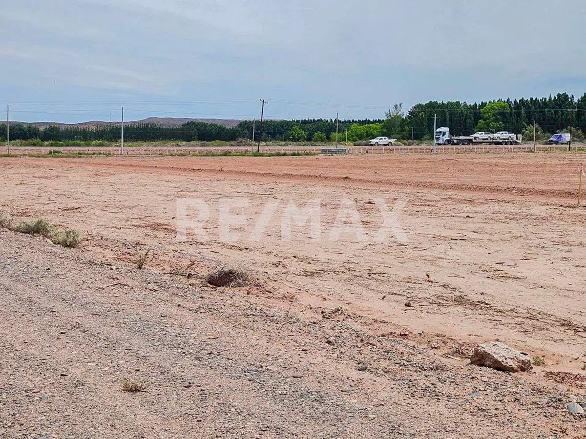 Alquiler Lote de 5000 m2 3