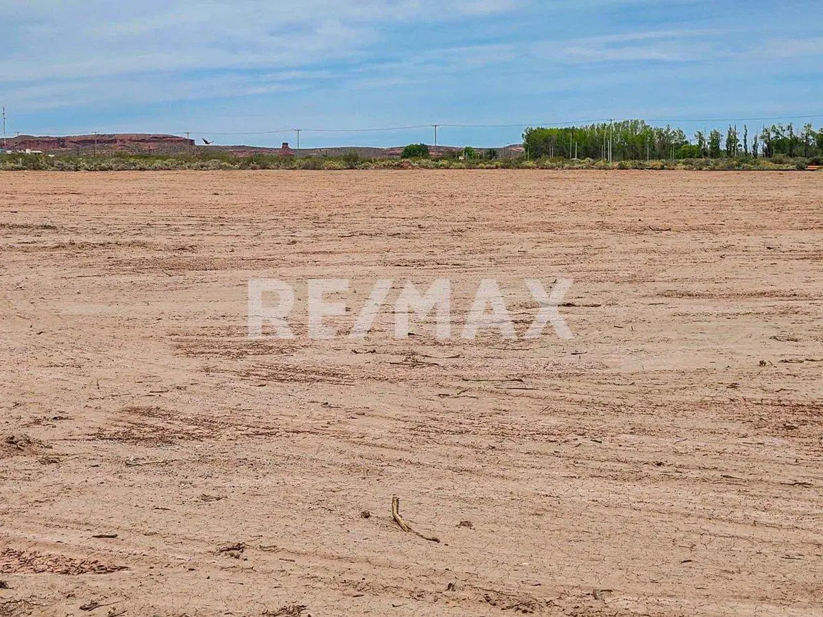 Alquiler Lote de 5000 m2 5