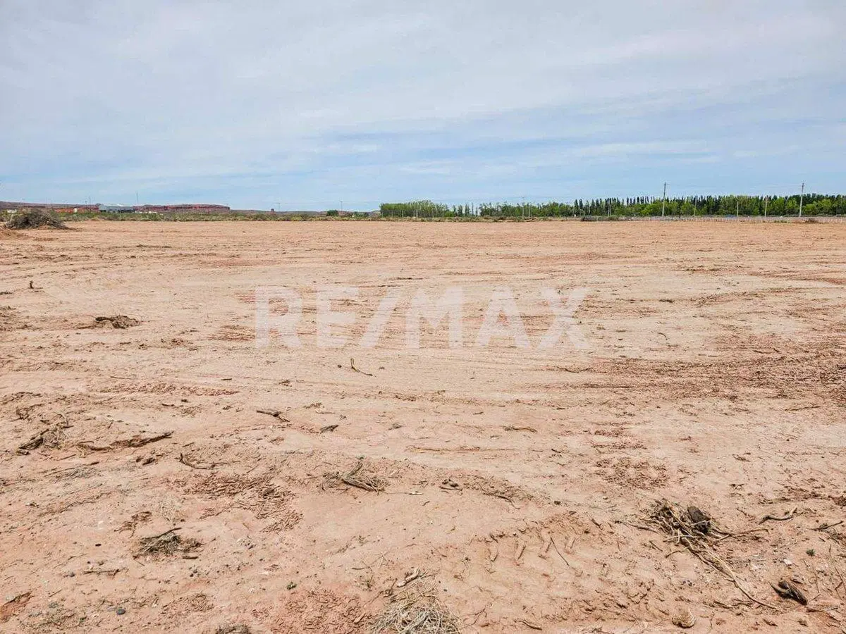Alquiler Lote de 5000 m2 4