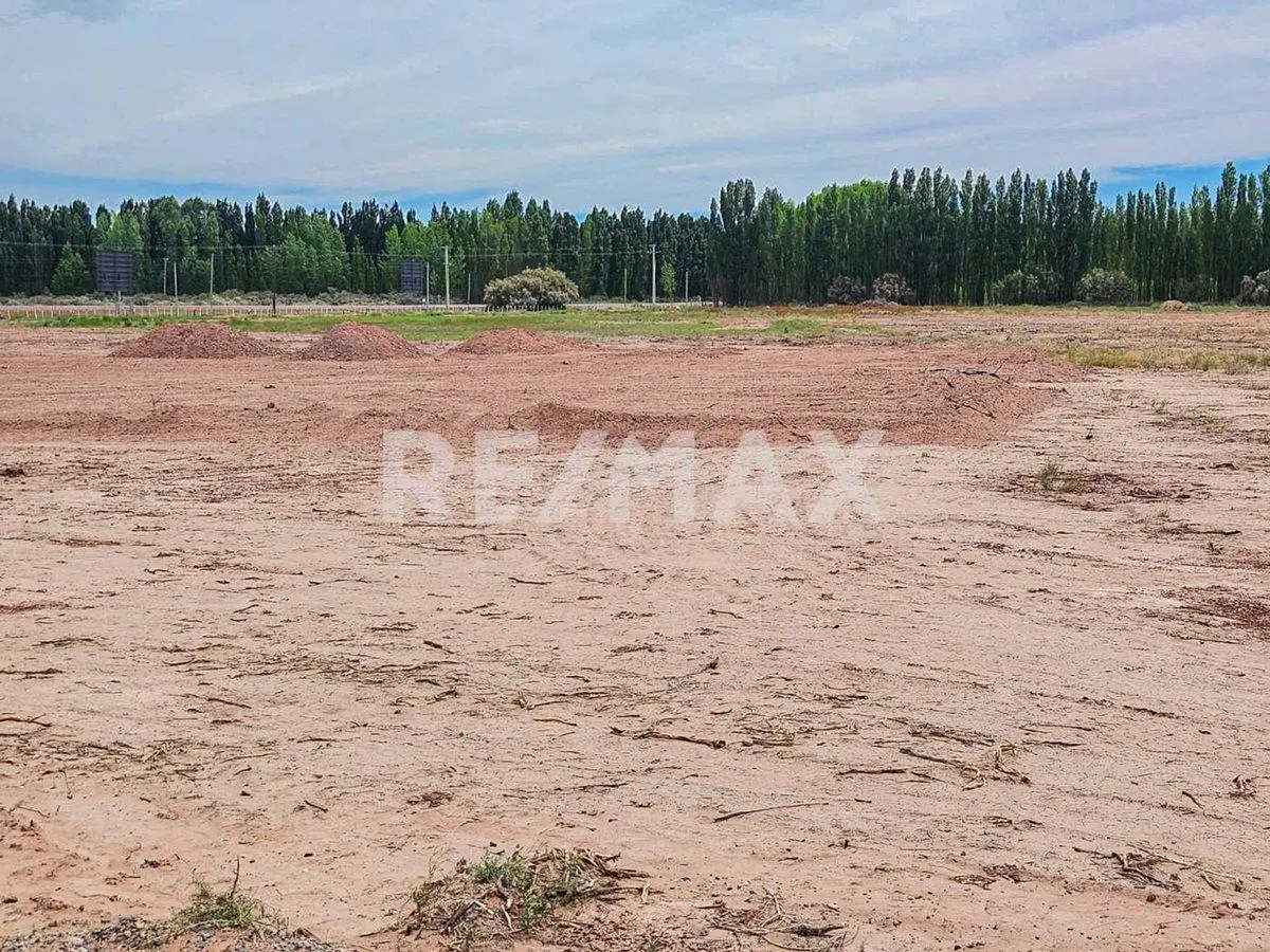 Alquiler Lote de 5000 m2 2