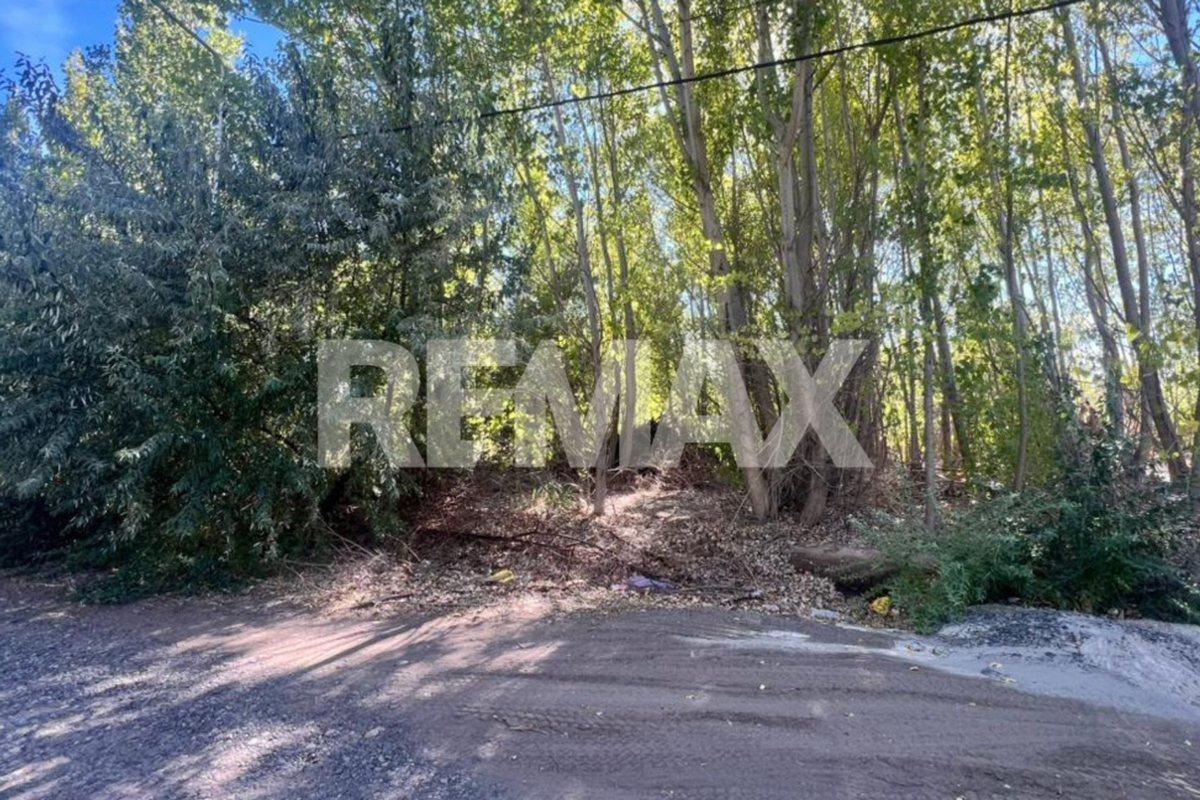 LOTE EN LA FORESTADA AÑELO, NEUQUEN