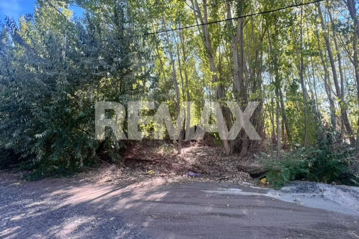 LOTE EN LA FORESTADA AÑELO, NEUQUEN 2
