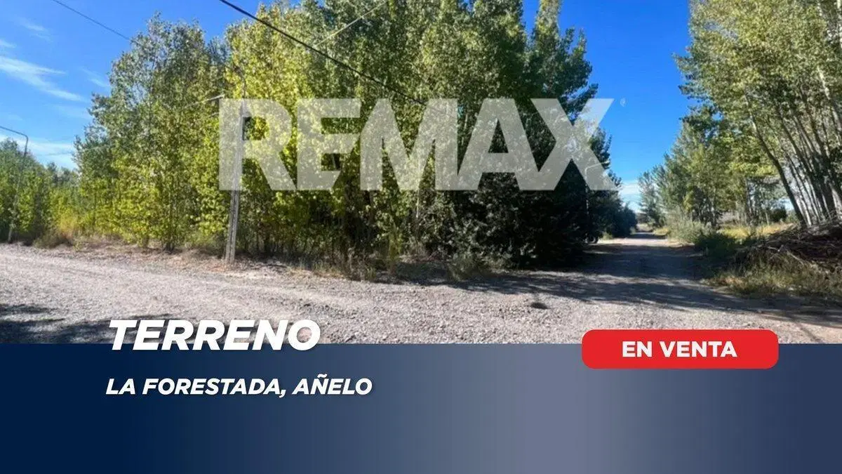 LOTE EN LA FORESTADA AÑELO, NEUQUEN 5