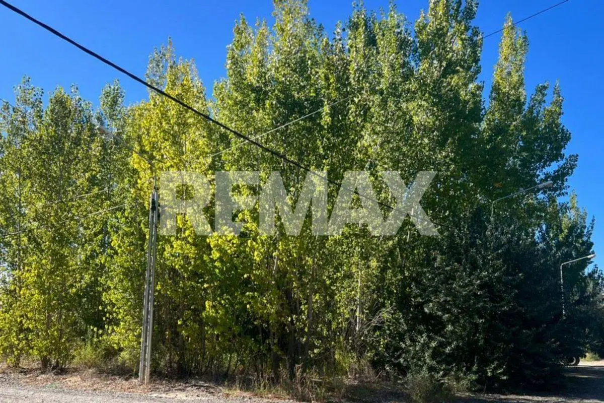 LOTE EN LA FORESTADA AÑELO, NEUQUEN 3