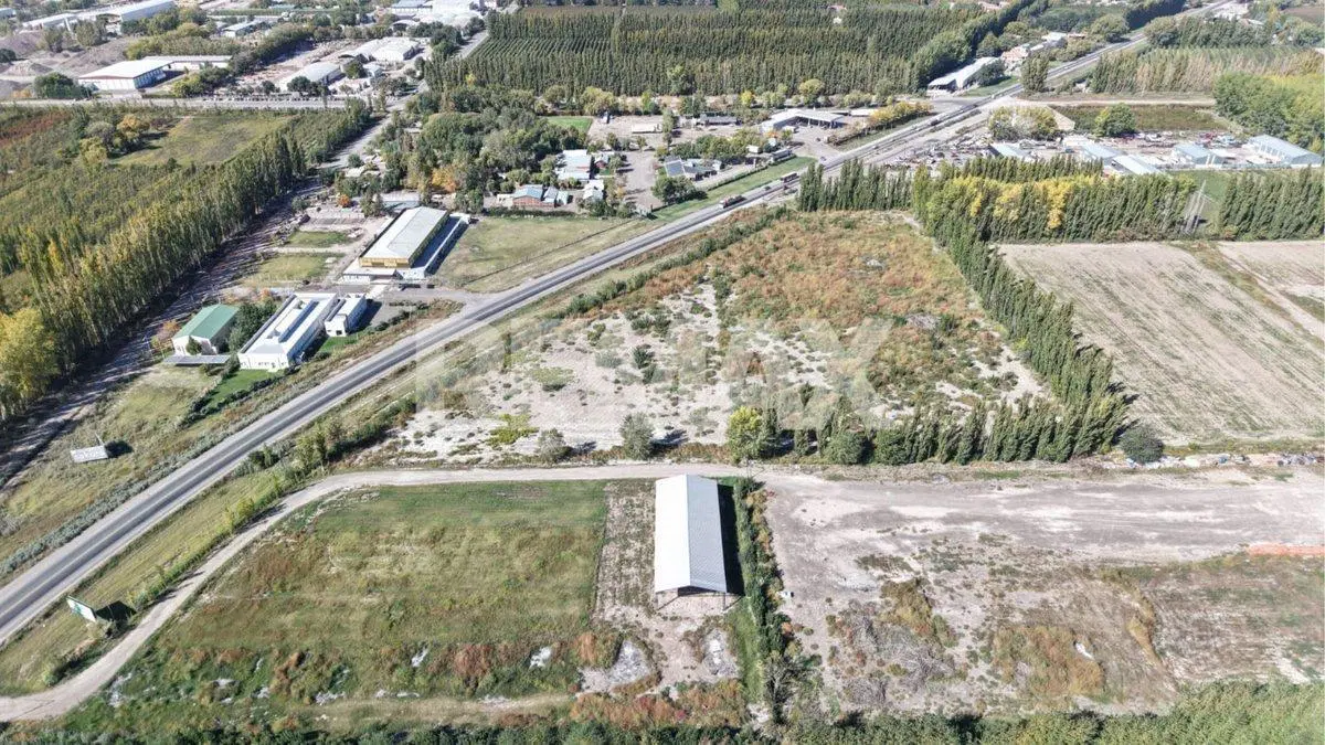 VENTA CHACRA 3,7 HECTAREAS RUTA 22 ALLEN RIO NEGRO 2