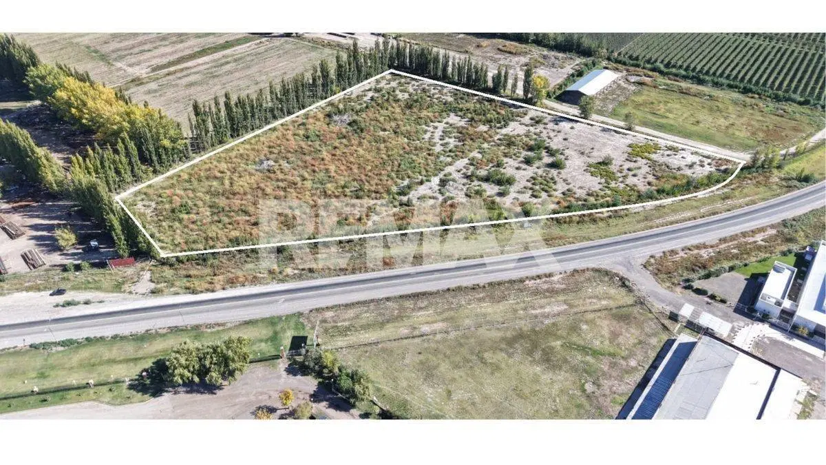 VENTA CHACRA 3,7 HECTAREAS RUTA 22 ALLEN RIO NEGRO 5