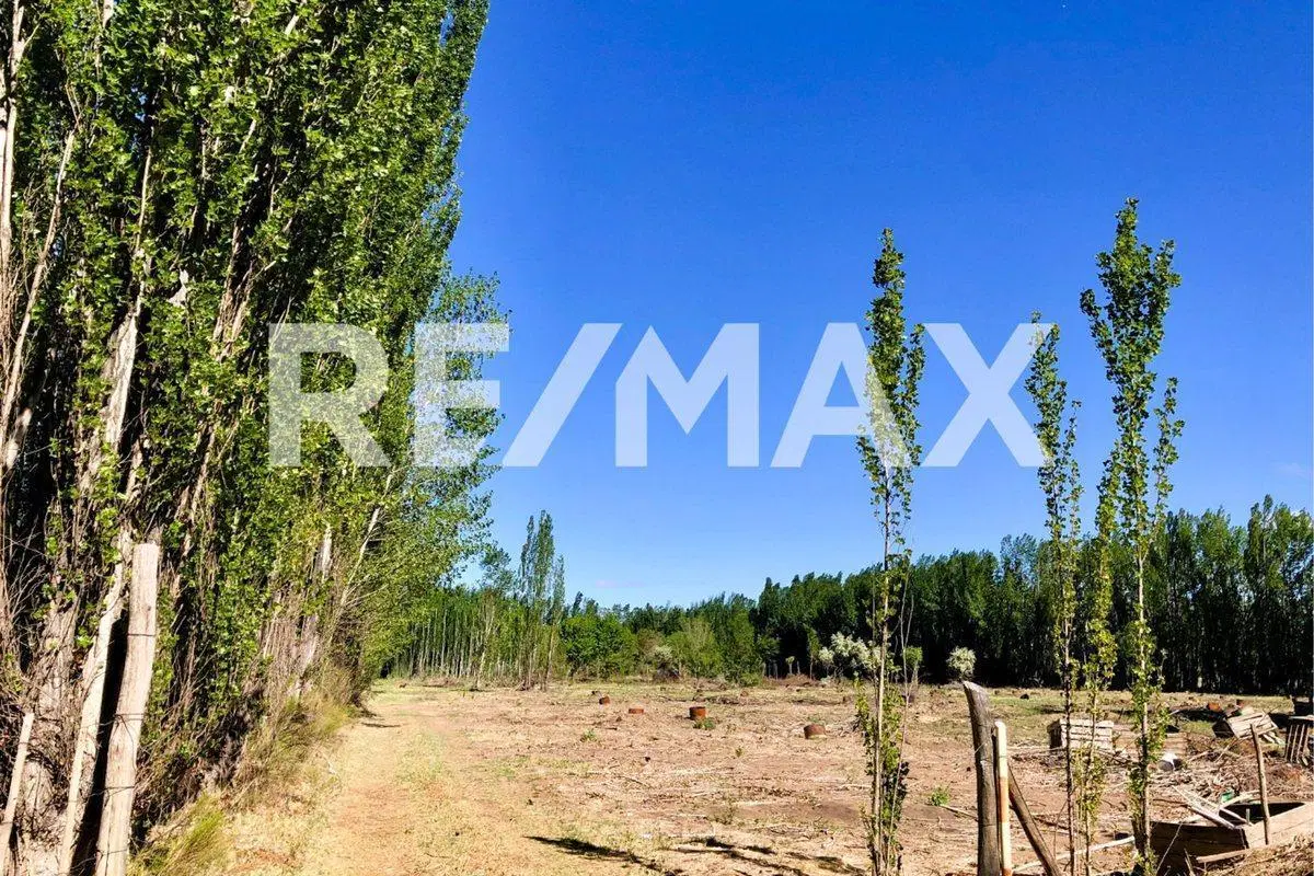 Lote 510m2 en venta - B° Cardales, Cipolletti 4