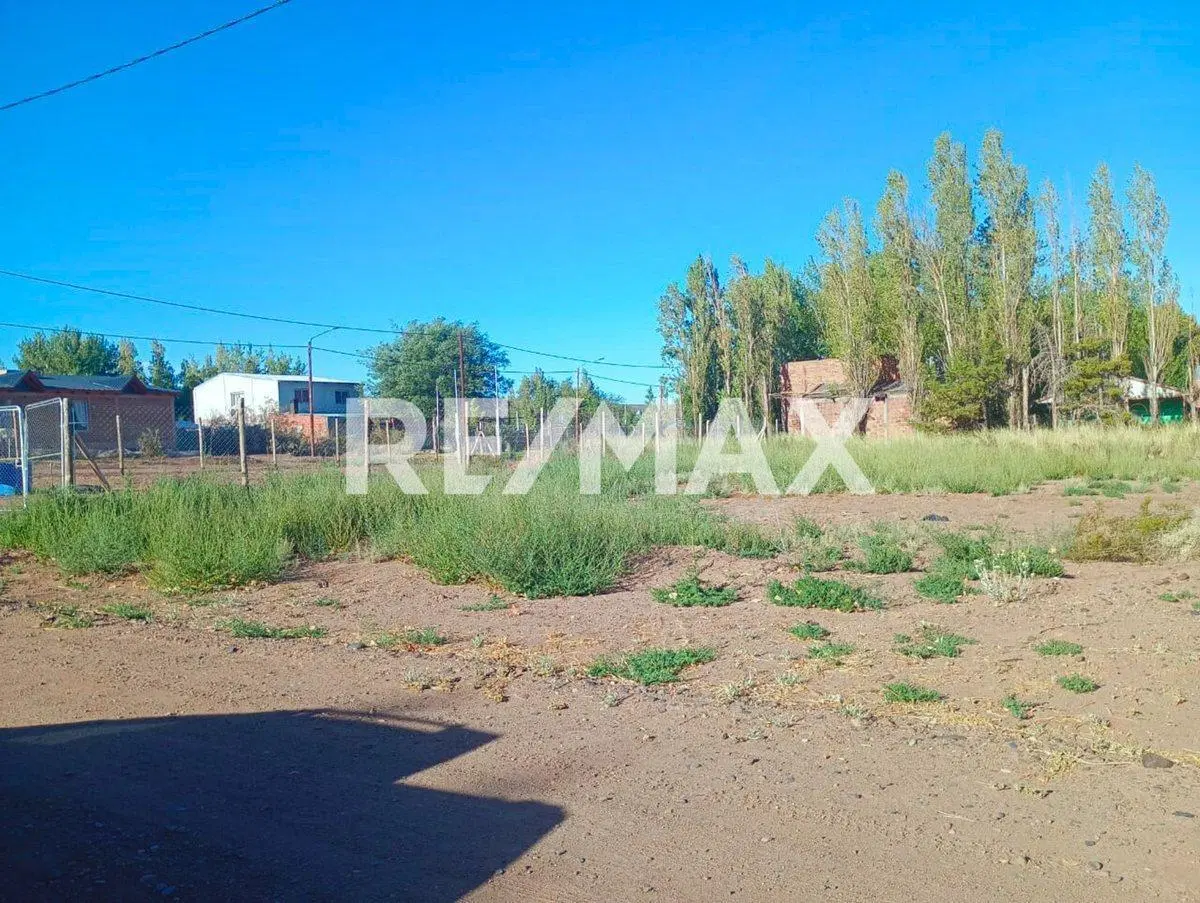 VENTA TERRENO 450 M2 VILLA EL CHOCÓN NEUQUÉN 4