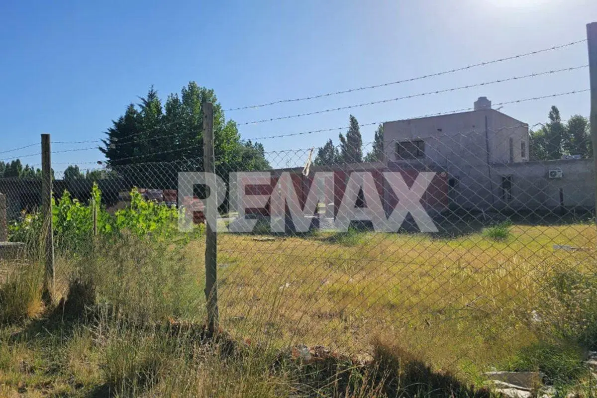 LOTE 306m2 LOS CEREZOS 1 - PLOTTIER 4