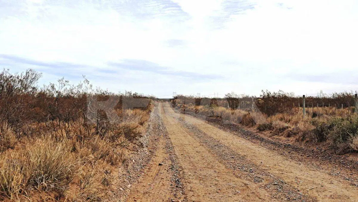 VENTA CAMPO 10 HECTAR COLONIA SAN JOSE SENILLOSA 2