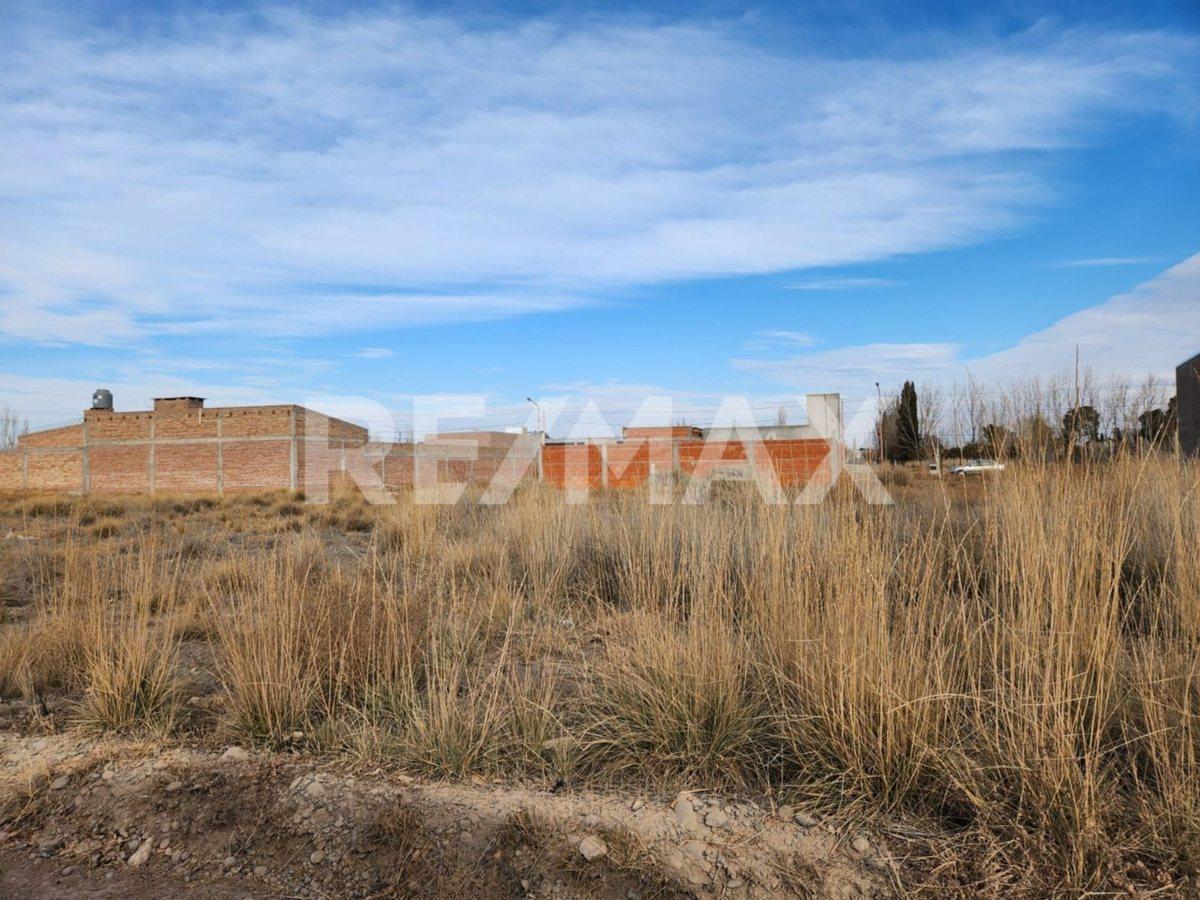 LOTE "LOS PERALES", FERNANDEZ ORO, RIO NEGRO