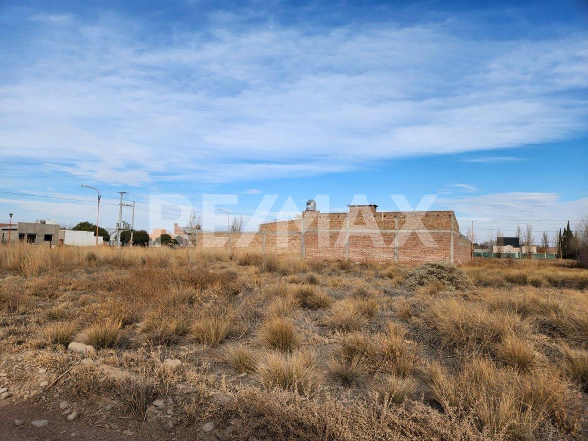 LOTE "LOS PERALES", FERNANDEZ ORO, RIO NEGRO