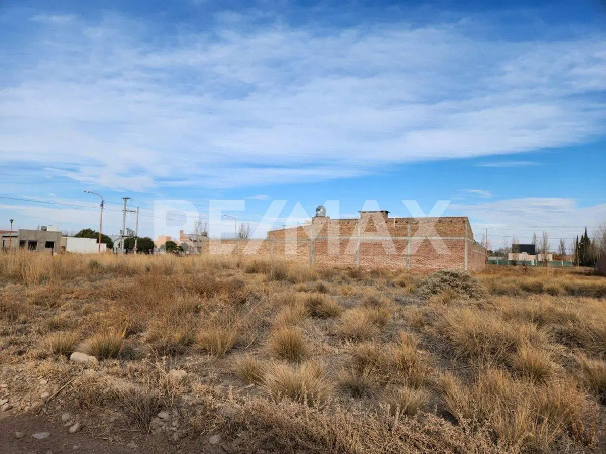 LOTE "LOS PERALES", FERNANDEZ ORO, RIO NEGRO 4