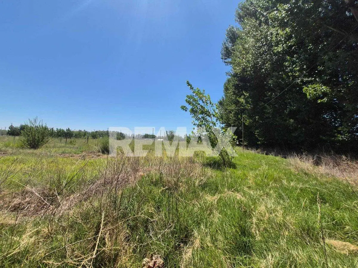 LOTE EN VENTA 250 M² BARRIO JARDINES DEL LIMAY 4