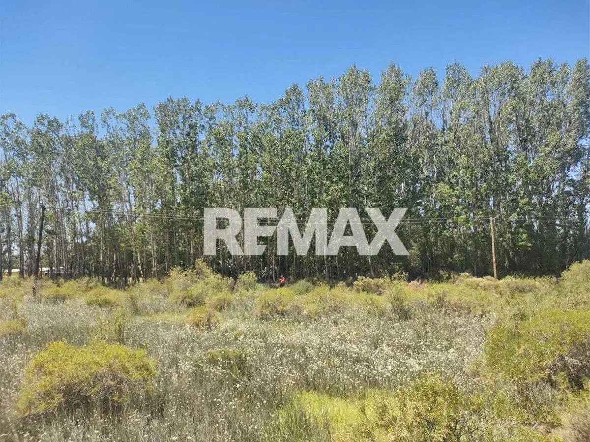 Venta LOTE 10 MZA 10 285,40m² LOTEO AMEDEAPlottier 3