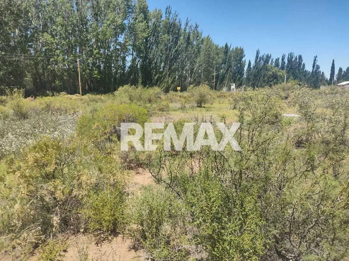 Venta LOTE 10 MZA 10 285,40m² LOTEO AMEDEAPlottier 5