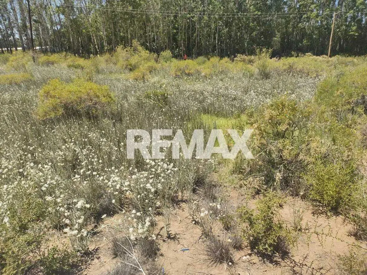 Venta LOTE 10 MZA 10 285,40m² LOTEO AMEDEAPlottier 2