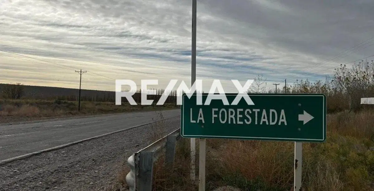 VENTA LOTE DE 1421 M2 UNIFICADO LA FORESTADA AÑELO 3