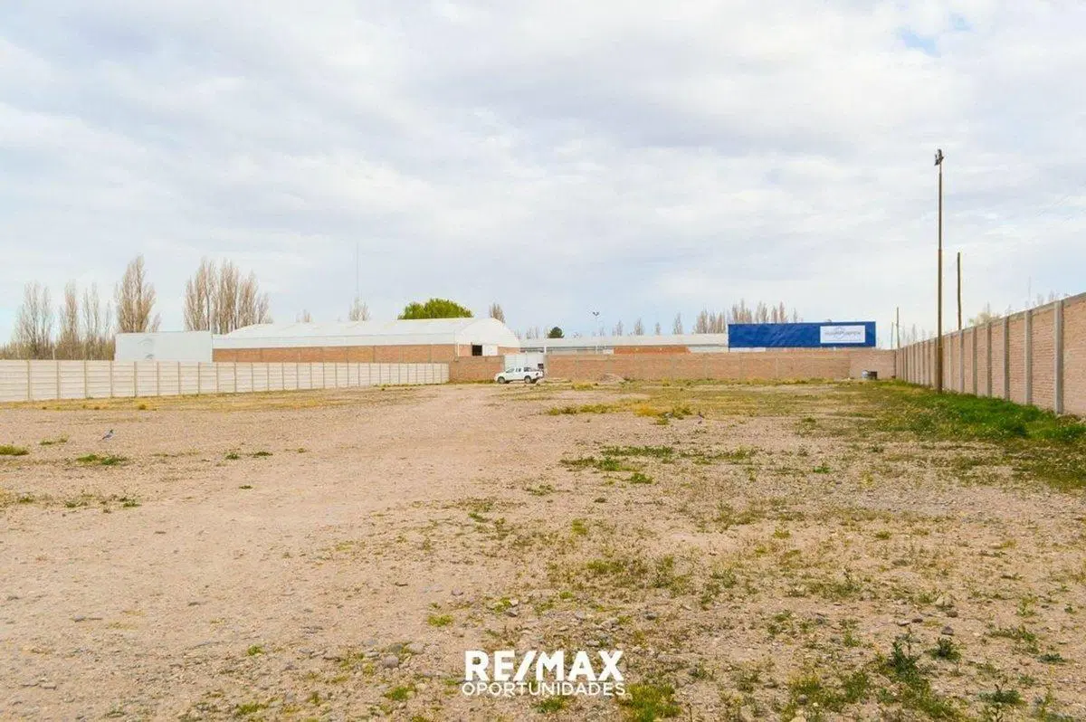 LOTE 5000 m2  FRENTE DE RUTA MOSCONI , NEUQUEN 5