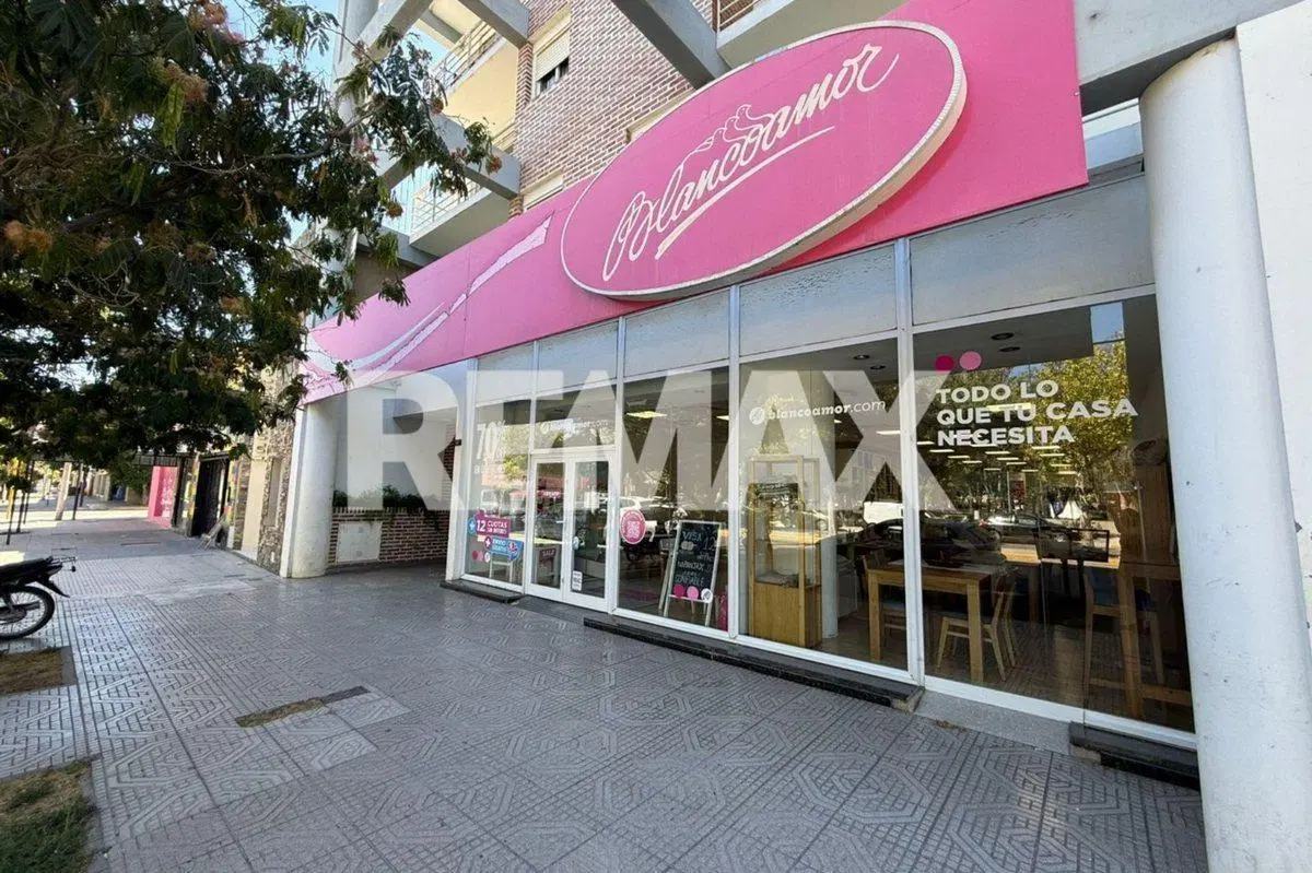 VENDE LOCAL COMERCIAL 216.48 M2, CENTRO PLOTTIER 3