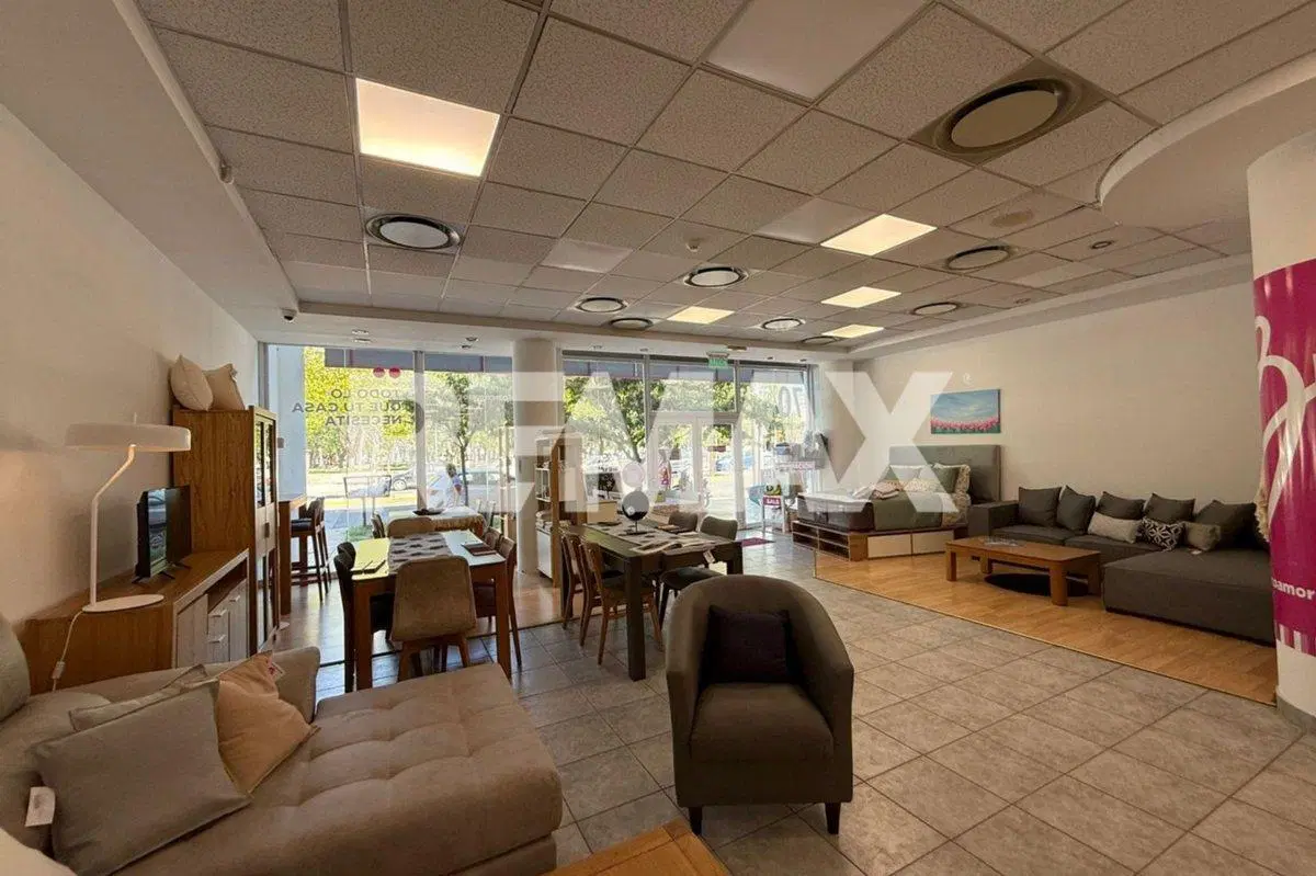 VENDE LOCAL COMERCIAL 216.48 M2, CENTRO PLOTTIER 2