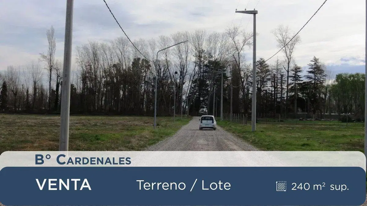 LOTE EN VENTA EN B° CARDENALES, NEUQUEN CAPITAL 4