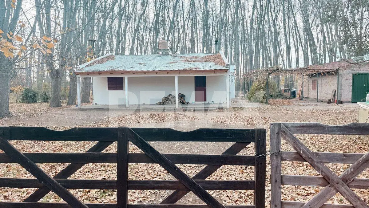 CASA EN ALQUILER PLOTTIER ZONA CHACRA  FINCA AMBOR 5