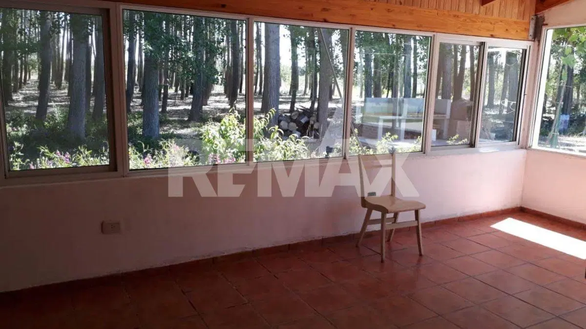 CASA EN ALQUILER PLOTTIER ZONA CHACRA  FINCA AMBOR 4