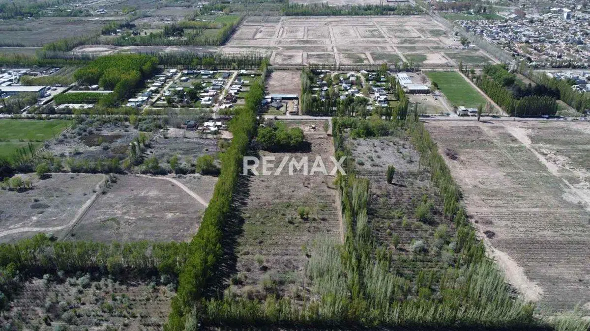 VENTA EXCLUSIVA | FINCA CARDALES | CIPOLLETI 5