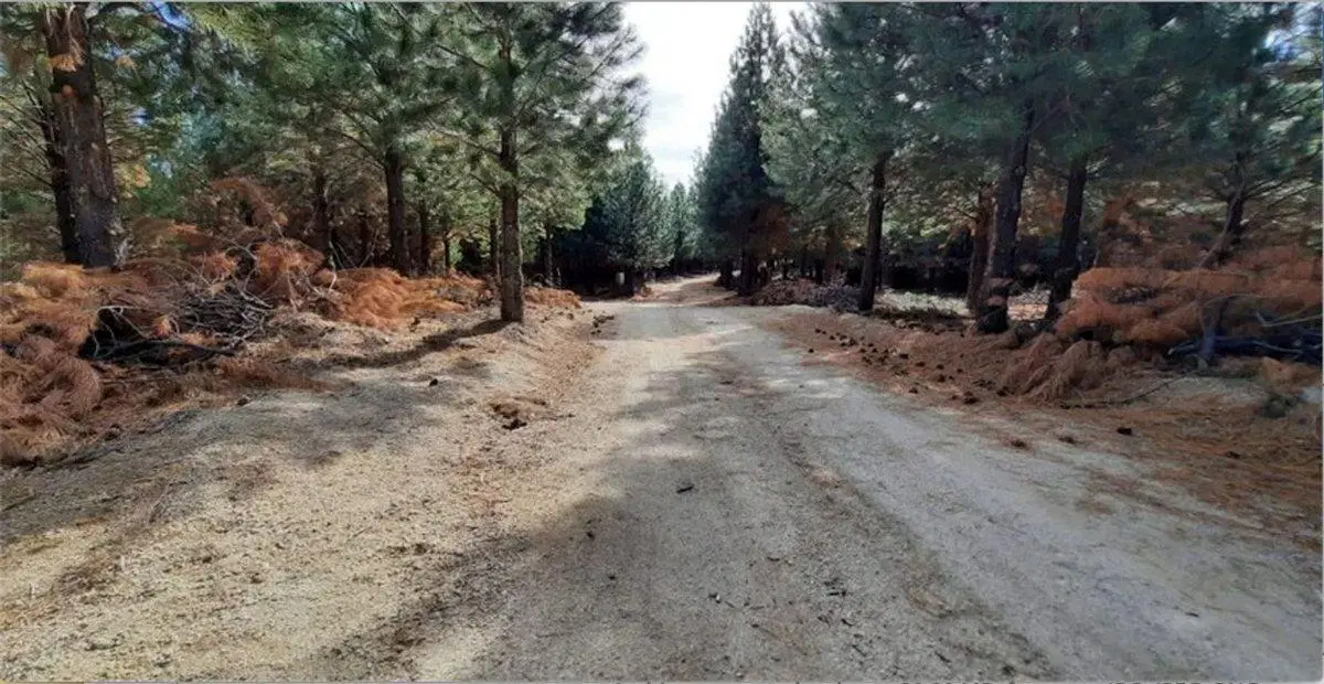 Terreno en venta Altos de Pehuenia 5